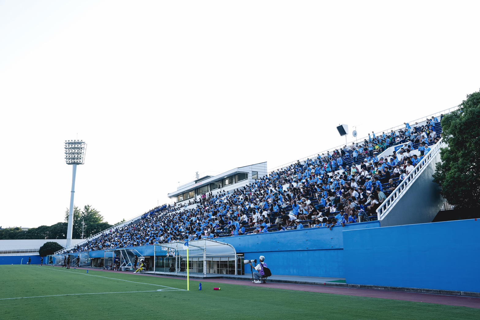 SEAGULLSコラム Vol.392